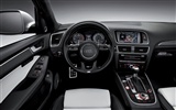 2013 Audi TDI SQ5 fondos de pantalla de alta definición #18