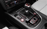2013 Audi TDI SQ5 fondos de pantalla de alta definición #20