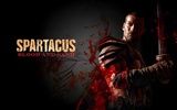 Spartacus : 혈액과 모래의 HD 월페이퍼 #13