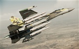 Ace Combat: Assault Horizon fonds d'écran HD #8