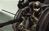 Ace Combat: Assault Horizon fonds d'écran HD #15