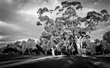 Beautiful scenery of Australia HD wallpapers #87497