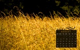 Srpna 2012 Kalendář Tapety na plochu (1) #2