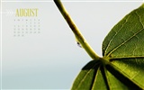Srpna 2012 Kalendář Tapety na plochu (2) #7