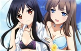 Krásné dívky anime HD Tapety na plochu (1) #10