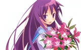 Beautiful anime girls HD Wallpapers (2) #3