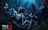 True Blood TV-Serie HD Wallpaper