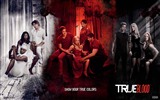 True Blood сериал HD обои #2