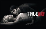 True Blood TV Series HD wallpapers #13