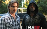 True Blood TV Series HD wallpapers #19