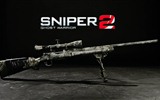 Sniper: Ghost Warrior 2 狙击手：幽灵战士2 高清壁纸11
