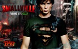 Smallville TV Series HD обои #13