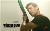 The Walking Dead HD wallpapers #24