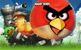 Angry Birds 愤怒的小鸟 游戏壁纸7
