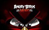 Angry Birds fonds d'écran de jeux #18