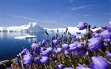 Windows 7 Wallpapers: Nordic Landscapes #17