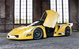 2012 Edo Competition Ferrari Enzo zxx HD fonds d'écran #8