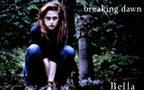 The Twilight Saga: Breaking Dawn HD обои #2