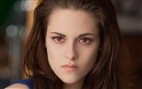 The Twilight Saga: Breaking Dawn HD обои #3