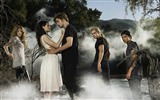 The Twilight Saga: Breaking Dawn HD обои #7