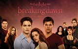 The Twilight Saga: Breaking Dawn HD обои #10