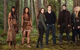 The Twilight Saga: Breaking Dawn fonds d'écran HD #13