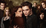 The Twilight Saga: Breaking Dawn 暮光之城4：破晓 高清壁纸21