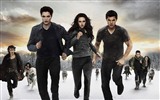 The Twilight Saga: Breaking Dawn fondos de pantalla HD #26