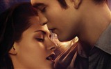 The Twilight Saga: Breaking Dawn fondos de pantalla HD #28