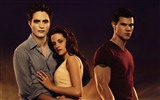 The Twilight Saga: Breaking Dawn fonds d'écran HD #30