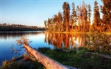Lakes, sea, trees, forests, mountains, beautiful scenery wallpaper