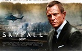 Skyfall 007 fondos de pantalla HD #7