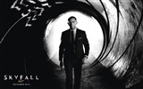 Skyfall 007 HD обои #11