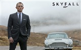 Skyfall 007 fondos de pantalla HD #12