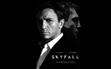 Skyfall 007 HD обои #14
