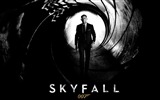 Skyfall 007의 HD 배경 화면 #17
