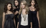 The Secret Circle HD wallpapers #11