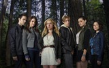The Secret Circle HD wallpapers #15