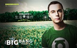 The Big Bang Theory TV Series HD wallpapers #16