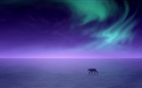 Natural wonders of the Northern Lights HD Wallpaper (2) #21