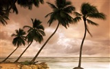 Windows 8 Wallpaper: Caribbean Shores #7