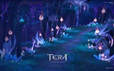 Tera HD game wallpapers #5