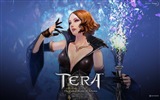 Tera HD game wallpapers #14