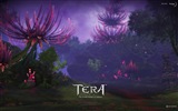 Fonds d'écran Tera jeux HD #15