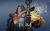 Tera HD game wallpapers #17