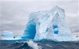 Windows 8 壁紙：南極洲，冰雪風景，南極企鵝 #7