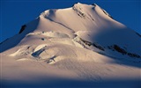 Windows 8: Fondos de pantalla, paisajes antárticos nieve, pingüinos antárticos #11