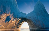 Windows 8 обоев: Арктика, природа экологического ландшафта, арктических животных #3