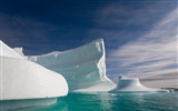 Windows 8 壁纸：北极圈，自然生态风景，北极动物14