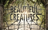 Beautiful Creatures 2013 HD movie wallpapers #3